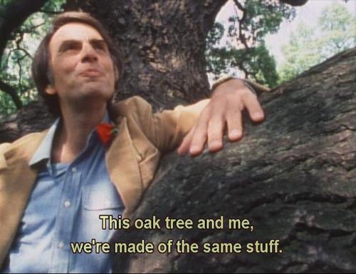 Sagan and his tree